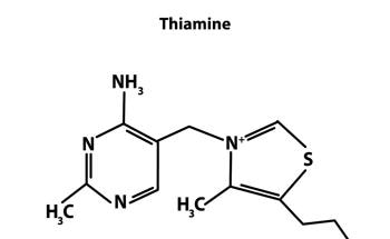 Antibacterial Polymer Degradable into Biocompatible Compounds