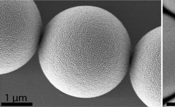 Researchers Detect Diverse Levels of Toxicity in Supposedly Similar Microplastic Particles