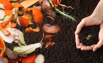 Recovering Energy from Organic Waste