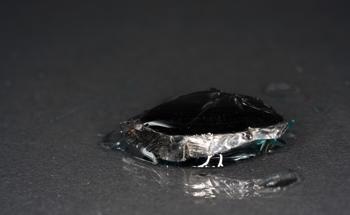 Dielectric Elastomer-Based Composites: Effects of Graphite and Shungite