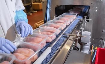 Food Industry Plastics: Considering Thermo-Oxidation