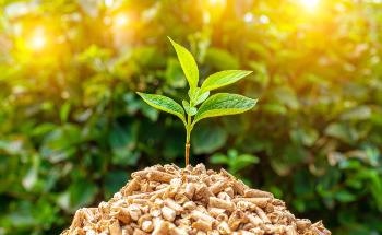 Effects of Chemical Pre-Treatment on Biomass Methane Fermentation