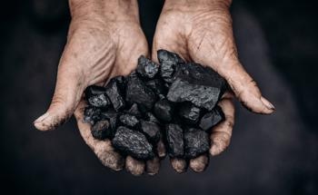 Reducing Fossil Fuel Dependence Using the Bioeconomy