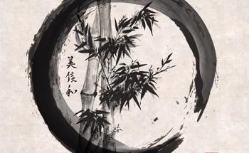 Chinese Heritage Xuan Paper Inspires the Creation of Novel High-Haze Transparent Film