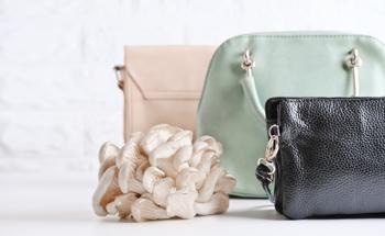 Considering Bio-Based Textile Solutions