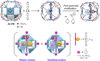 Building Molecular Rotor Within Nanostructured Cage Allows for the Creation of Flexible Molecular Device