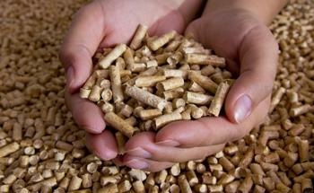 Properties And Quality Of Solid Biofuels: Plant Processing And Utilization