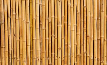 Synthesis of Nitrogen-Doped Bamboo-Based Activated Carbon