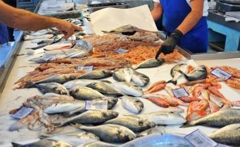 Using Fish Processing Waste For Bioenergy