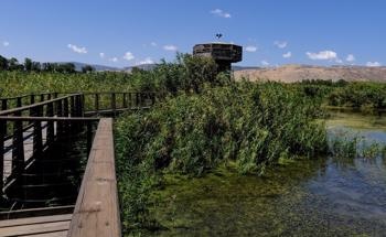 Water Reclamation with Manufactured Wetlands