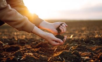 Physicochemical Properties of Soil After Application of Meat Processing Waste