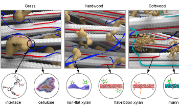 Researchers Develop Technology to Improve Biofuel Production
