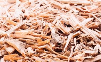 Profitably Repurposing Wood Waste