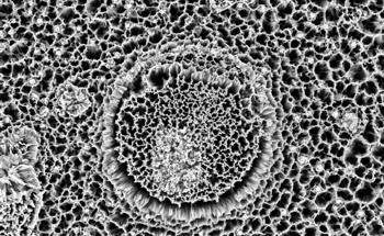 Recycling Silicon Waste from Photovoltaics into Silicon Nanowire Electrodes