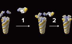 New Green Method to Make Polymer Production More Sustainable