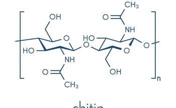 CO2 Capture with Chitin-Based Fibrous Carbon Microspheres