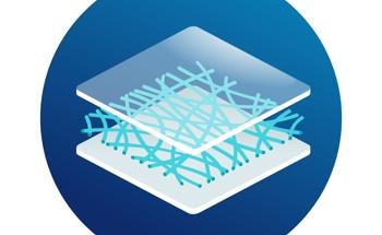 Rapid Fabrication of Covalent Organic Polymer Membranes