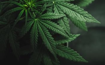 Heavy Metals in Cannabis Method Approved by AOAC INTERNATIONAL