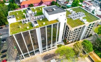 Implementing Green Roofs in Cities