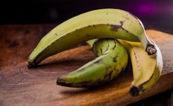 Plantain-Reinforced Biopolymers