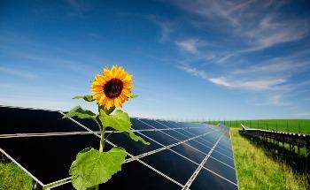 Experts Provide an Overview on Innovative Electrocatalysts