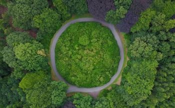 New Plastics for a Circular Bioeconomy