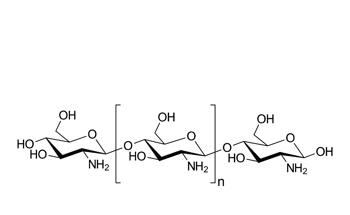 A Fungal Approach to Chitosan Production