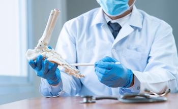 Microarchitecture of 3D-Printed Bone Scaffolds
