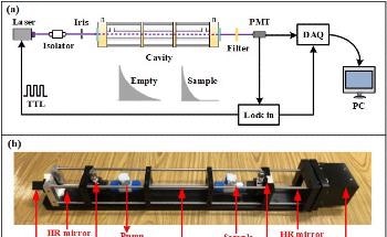 Precise Detection Technology for Sensing Nitrogen Dioxide in the Air