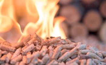 The Use of Biomass Within the Circular Bioeconomy