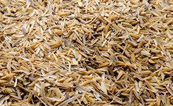 Rice Husk Ash Lowers Production Cost of Geopolymers