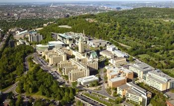 Olympus Discovery Center Brings Advanced Microscopy to Brain Research