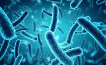 Using Bacteria to Self-heal Cracks in Slag Composites