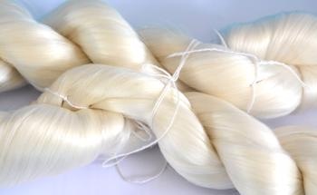 Advanced Bioinspired Materials Based on Silk