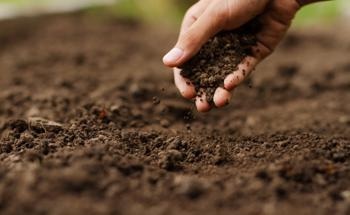 Properties of Biopolymer-Treated Soil