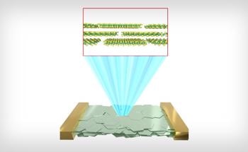 Ultrathin Adaptable Films for Sturdy and Stretchy Bioelectronic Membranes