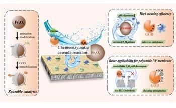 Researchers Suggest New Chemoenzymatic Cascade Reaction for Green Cleaning of Polyamide Nanofiltration Membranes