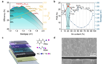 Novel Solution to Tackle Bimetallic Traps in High-Efficiency PSCs by Applying an Anchoring Strategy