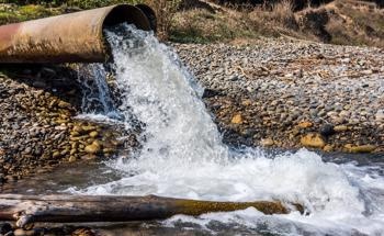 Biosorbents of Contaminants for Wastewater Treatment and Soil Remediation