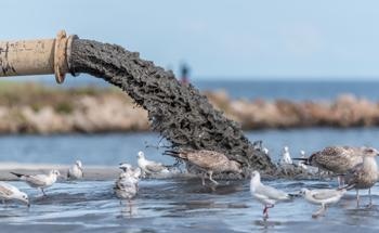 Using Sludge Water for Green Concrete