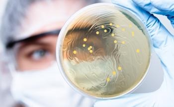Bioactive Bacterial Cellulose Films and Pigments