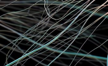How is the Elasticity of Electrospun Polymers Affected by Solvents?
