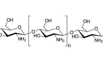 The Use of Chitosan in Lithium-Ion Battery Anodes