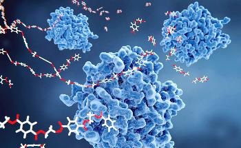 Previously Unknown Bacterial Enzyme Could Synthesize a New Type of Biopolymer
