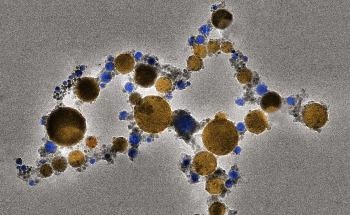 Novel Nano-Scale Structure Works as a Superior Catalyst in Electrochemical CO2 Reduction Reaction