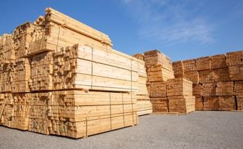 Sustainable Management of Timber Supplies for Renewable Energy