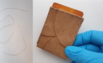 Bread-Eating Fungi Converts Food Waste into Sustainable Faux Leather