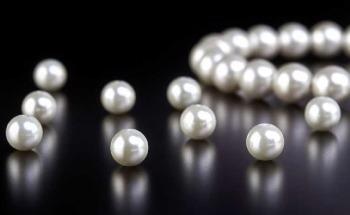 Experts Break Down Polymers into Monomers, the Basic Building Blocks