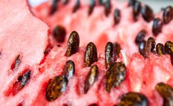 Using Watermelon Seeds to Improve Alginate Films