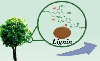 Novel Method to Develop Antibacterial Lignin-Based Polyurethane/Silver Composite Foam